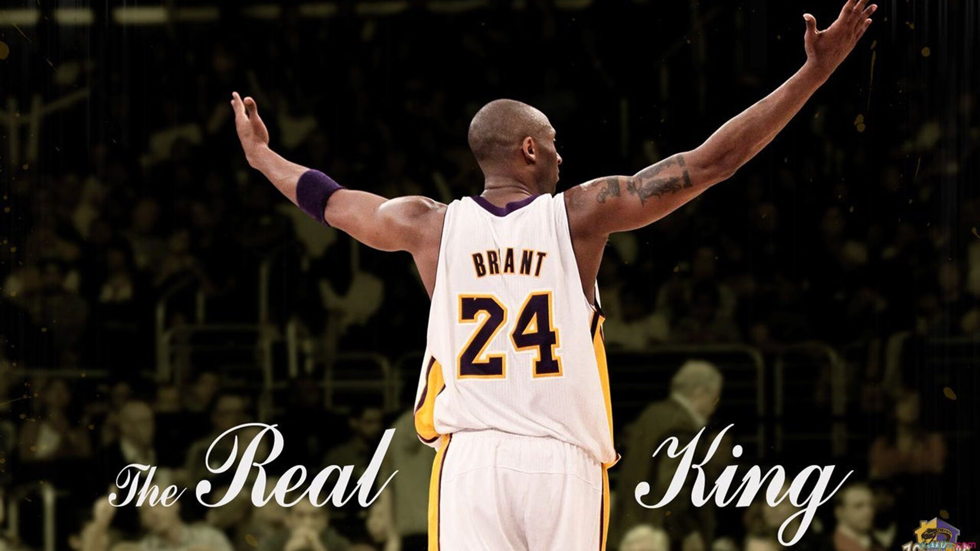 “高原疯狂：雪山之巅的极限比拼”，雪山高峰